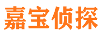 光山市侦探调查公司